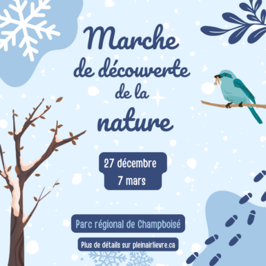 Marche de découverte de la nature